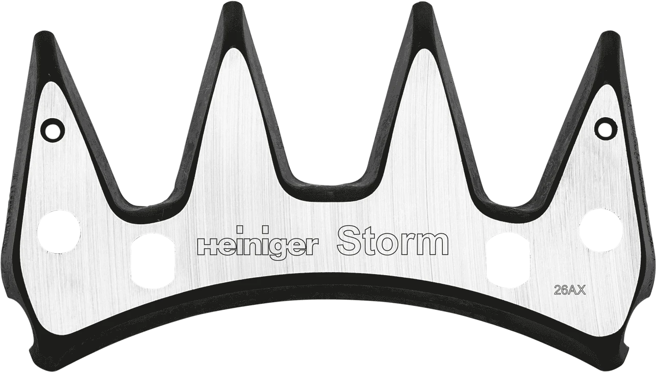 Storm Cutter