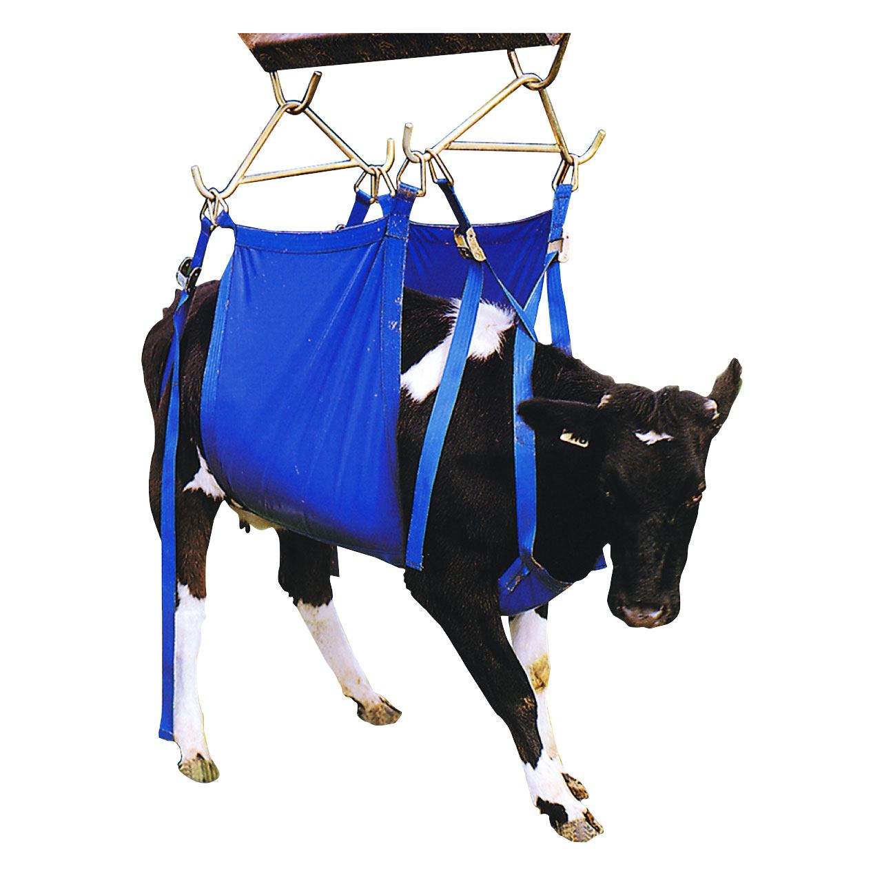 Daisy Cow Lifter