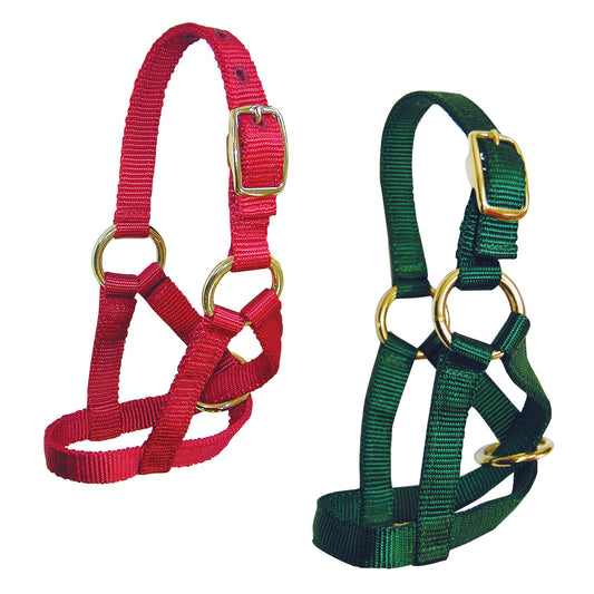 Goat Halter
