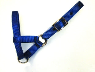 Average Alpaca Halter